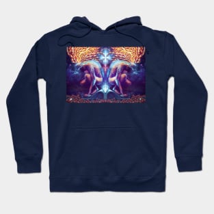 Duality - Digital Painting - Visionary Art Hoodie